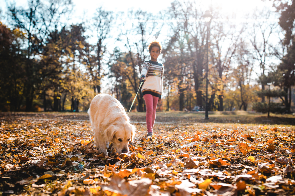 Responsibility & Connection: How Pets Can Support Mental Health